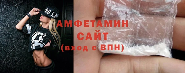 2c-b Инсар