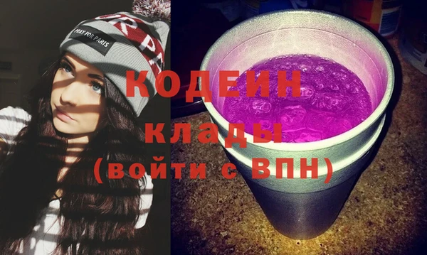 2c-b Инсар