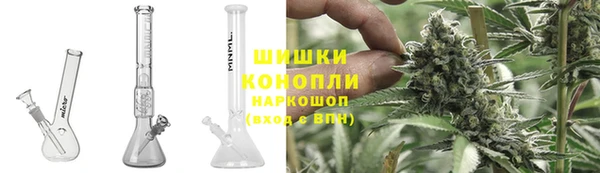 2c-b Инсар