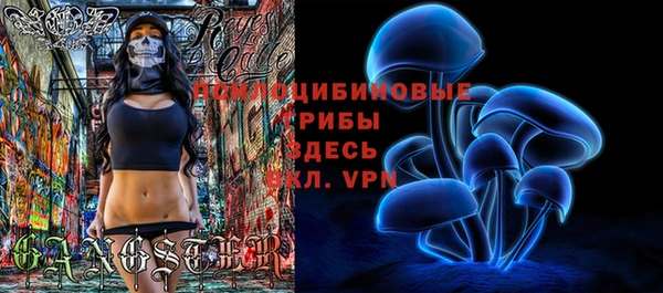 2c-b Инсар
