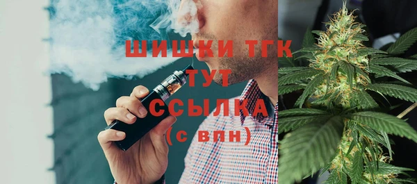 2c-b Инсар