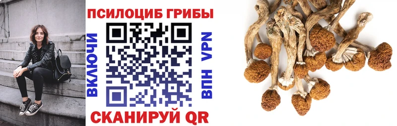 Галлюциногенные грибы ЛСД  Купить закладки  Борисоглебск 